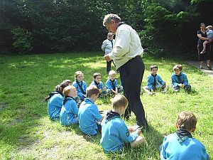 Beavers at Earleywood